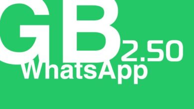 GBWhatsApp