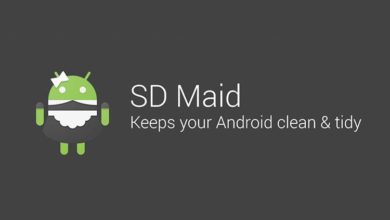 SD Maid Pro