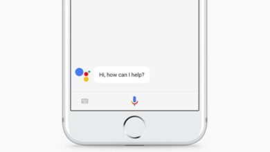 Google Assistant