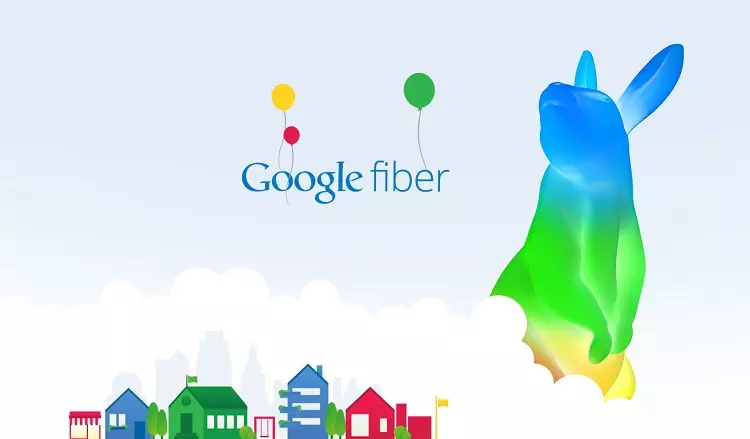 Fiber