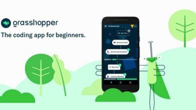 Google Grasshopper