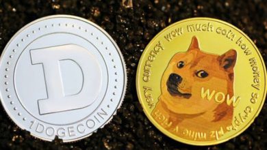 أفضل 5 عملات مشابهة لعملة Dogecoin لعام 2021