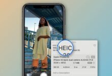ما هو ملف HEIC ولماذا يُستخدم في هواتف iPhone؟